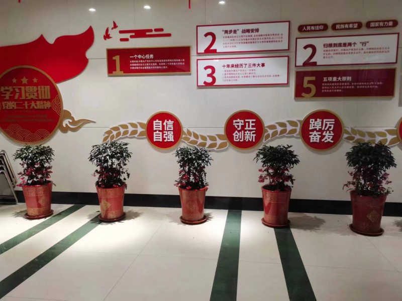 客户租赁案例
